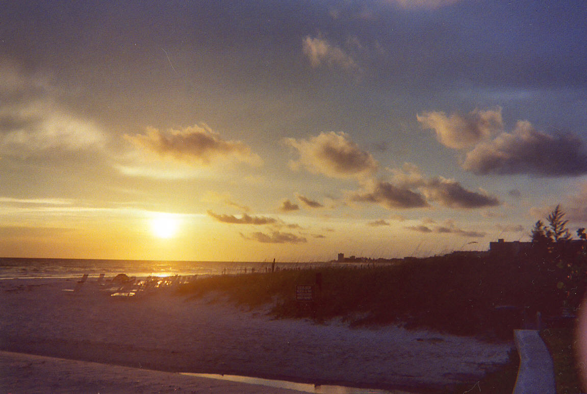 Beach grass