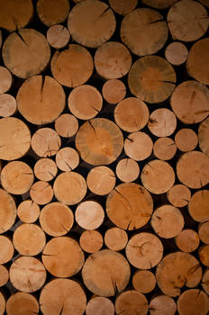 Wall of Wood