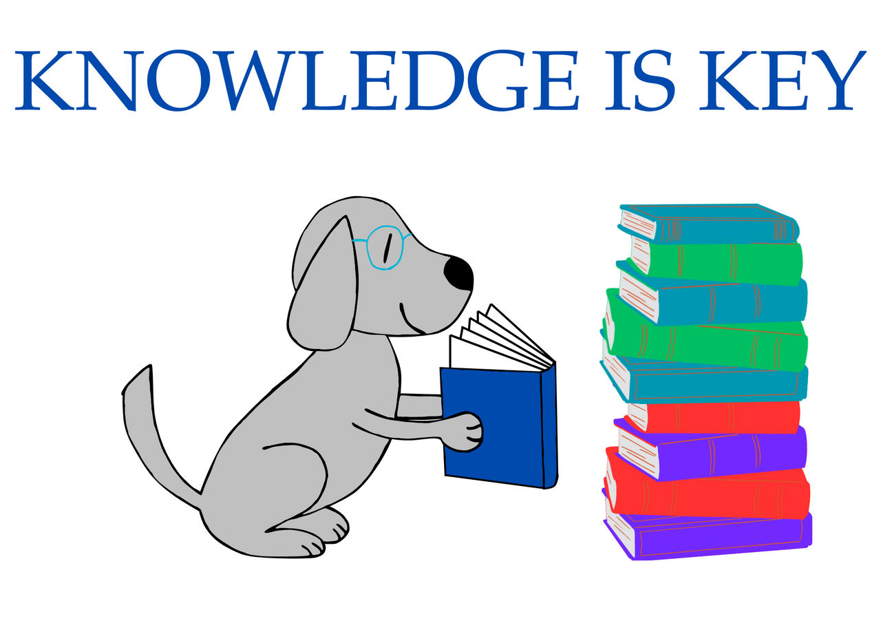 Knowledge is Key by ChickenRun101 on DeviantArt