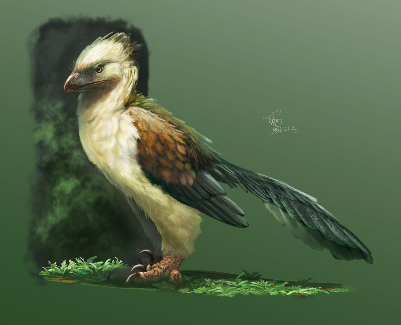 Balaur Roz Balaur bondoc by BushViper165 on DeviantArt