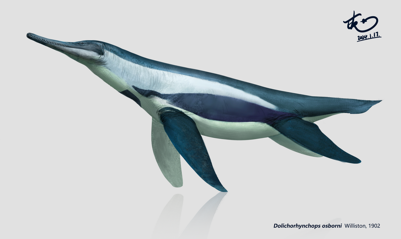 Dolichorhynchops by BushViper165 on DeviantArt