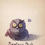 serious owl