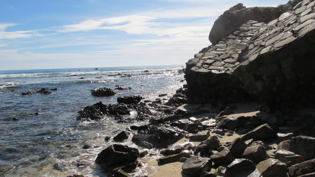 Beach Background 1