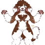 Butterfly Spaniel adopt