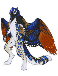 Anthro Peacock Gryphon by Un-Do