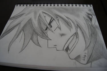 Fairy Tail - Gray Fullbuster