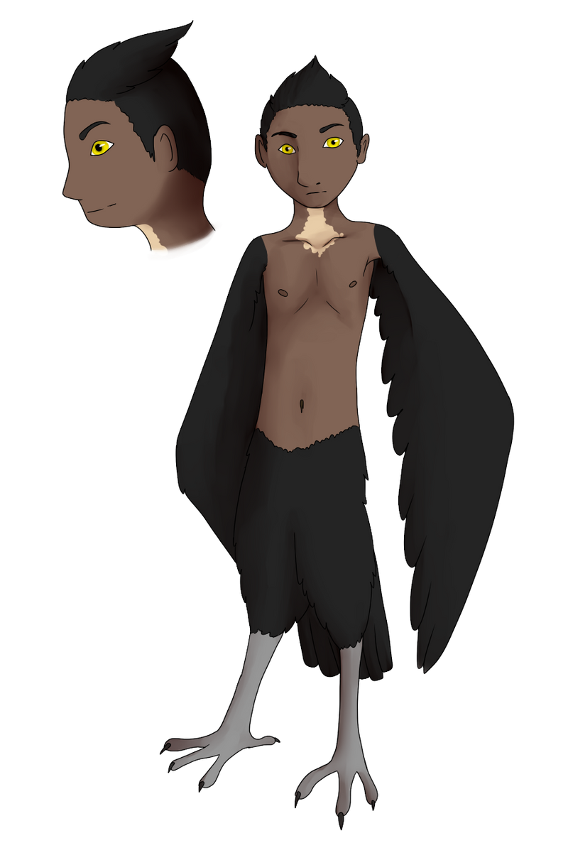 Harpy boy adoptable [OPEN]