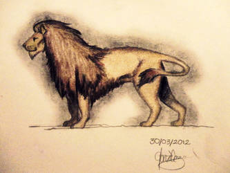 Lion1