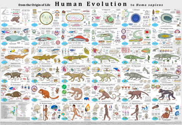 Explore the Best Evolution Art | DeviantArt