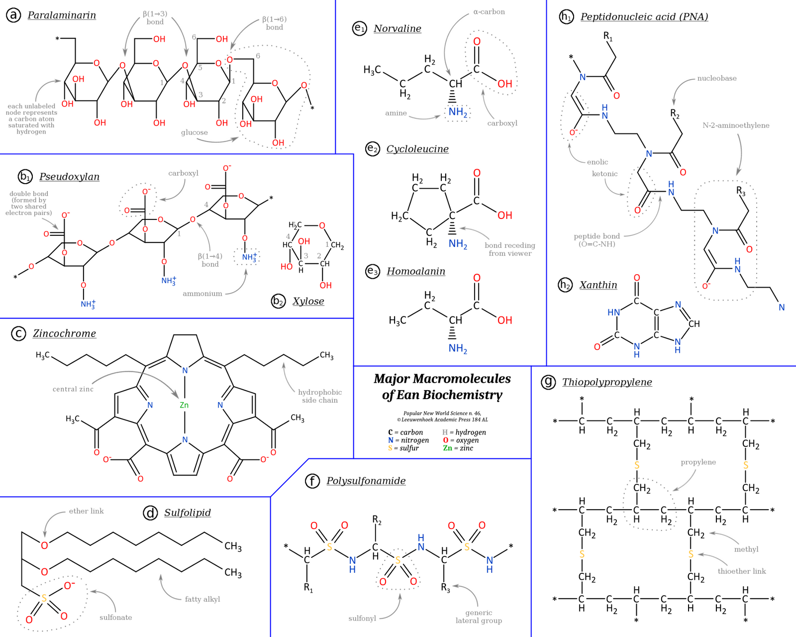 Ea: sample of biochemistry