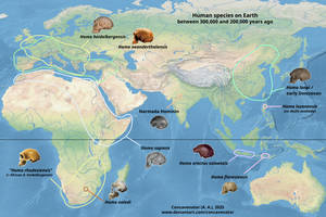 Human species on Earth, 300-200 ka