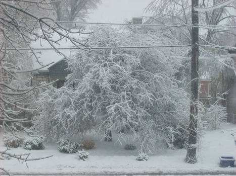 The Ice Storm of '09