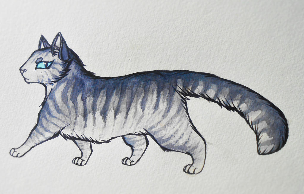 Silverstream - Warrior Cats by NeoSkejd on DeviantArt