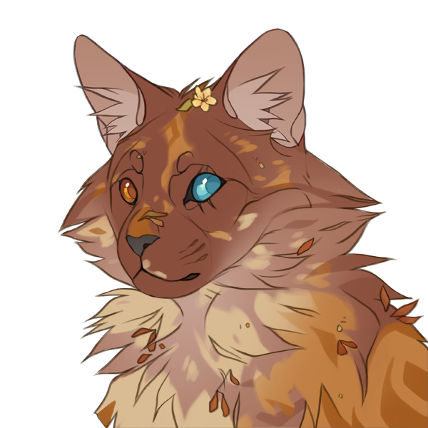 Deviantart Warrior Cat Creator