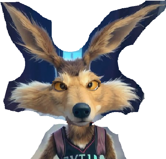 Live Action Realistic Wile E Coyote by nathanthedog on DeviantArt