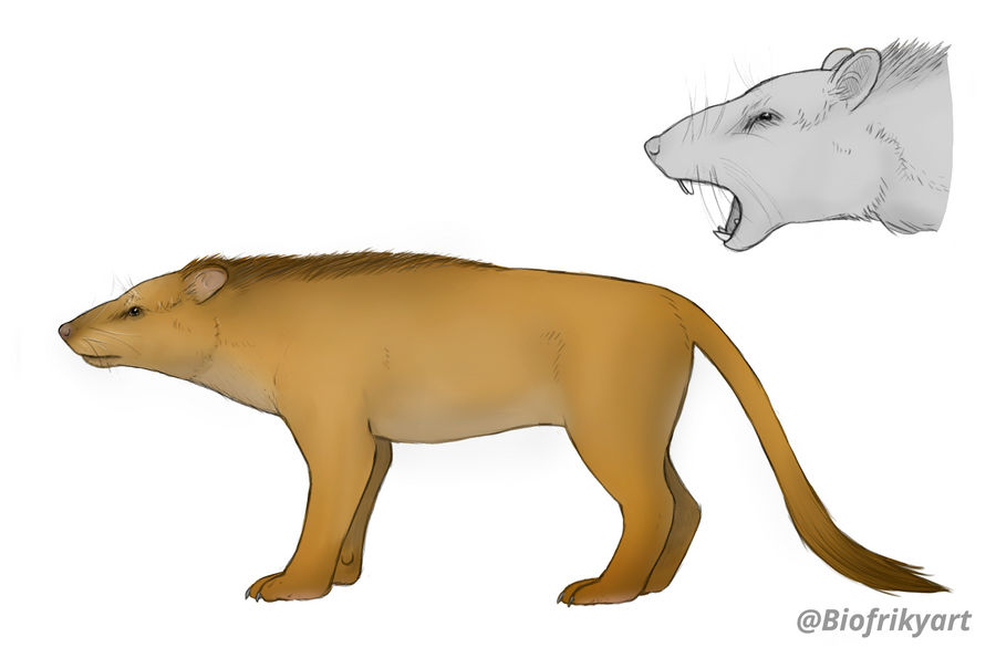 Future Rat by Frikynaturalista on DeviantArt