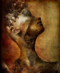 stoicism by Peterio