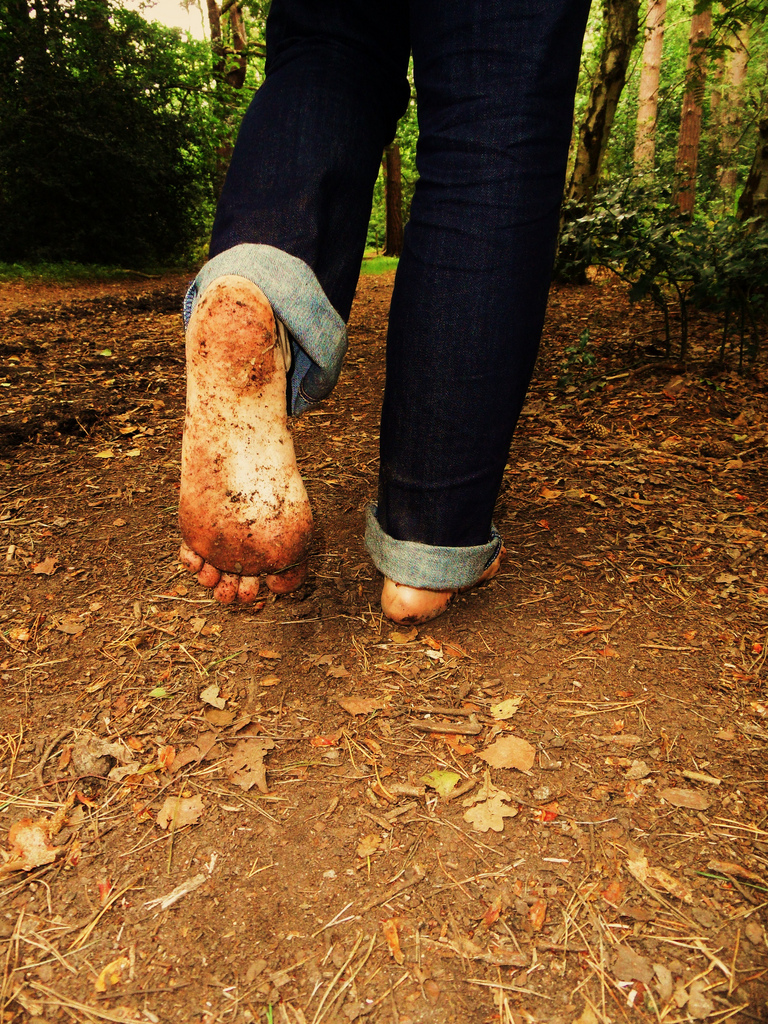 Barefoot forest walk 4