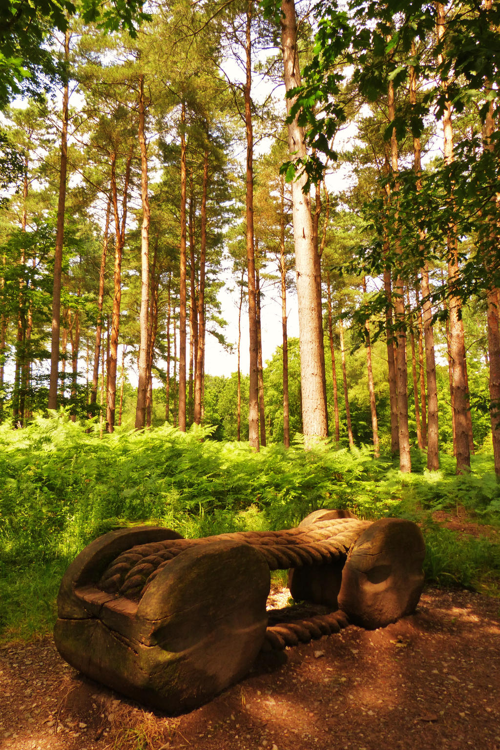 Forest Sculpture Trail