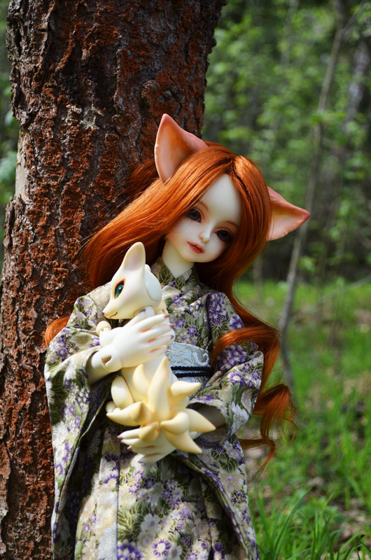 Spring and foxes 006