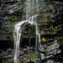 Mt Lofty Waterfall III