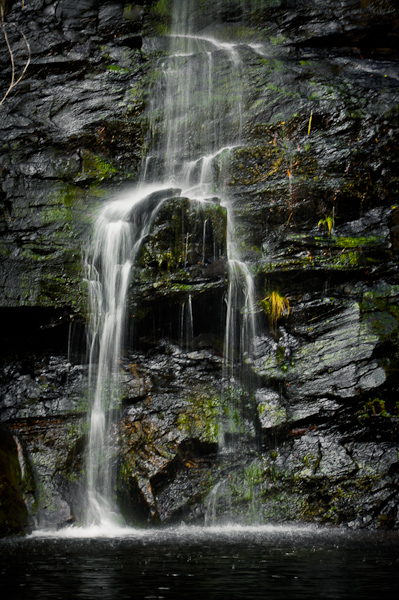 Mt Lofty Waterfall III