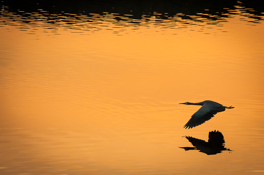 In Flight