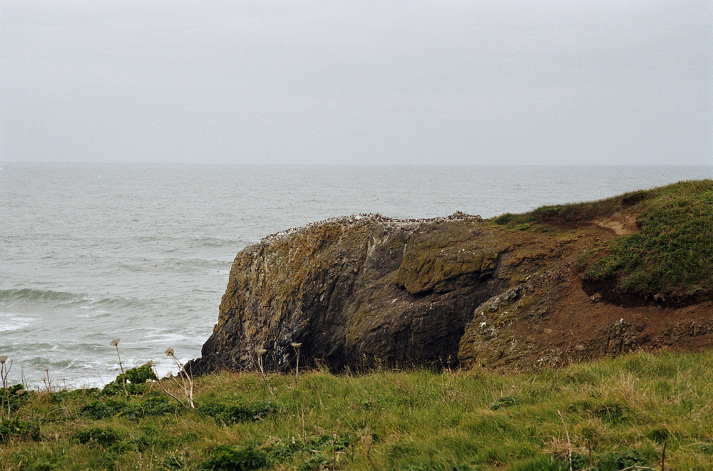 Rocky Coast V