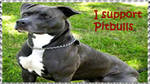 I support Pitbulls stamp by Nei-Ning