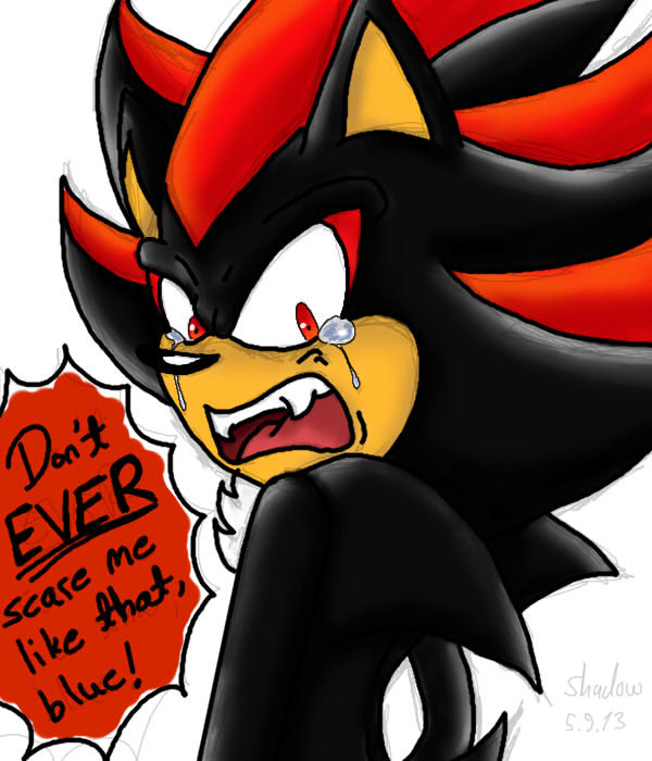 Shadow The Hedgehog Crying Sonic X