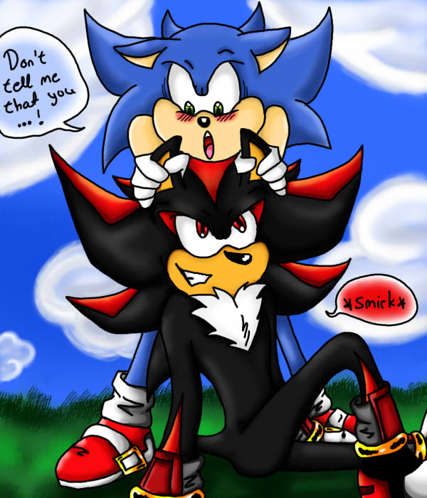 Shadow x Sonic by Nei-Ning on DeviantArt