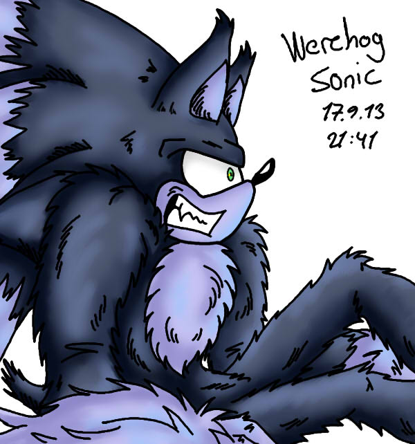 Werehog Sonic