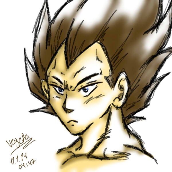 Vegeta 11-1-14