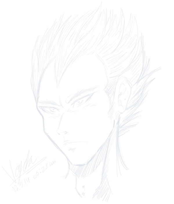 Vegeta 17-9-14