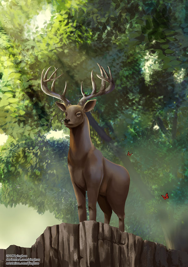 Deer by yinghuo