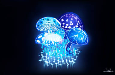 Mushrooms by 23MC-Studio