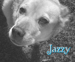 Jazzy