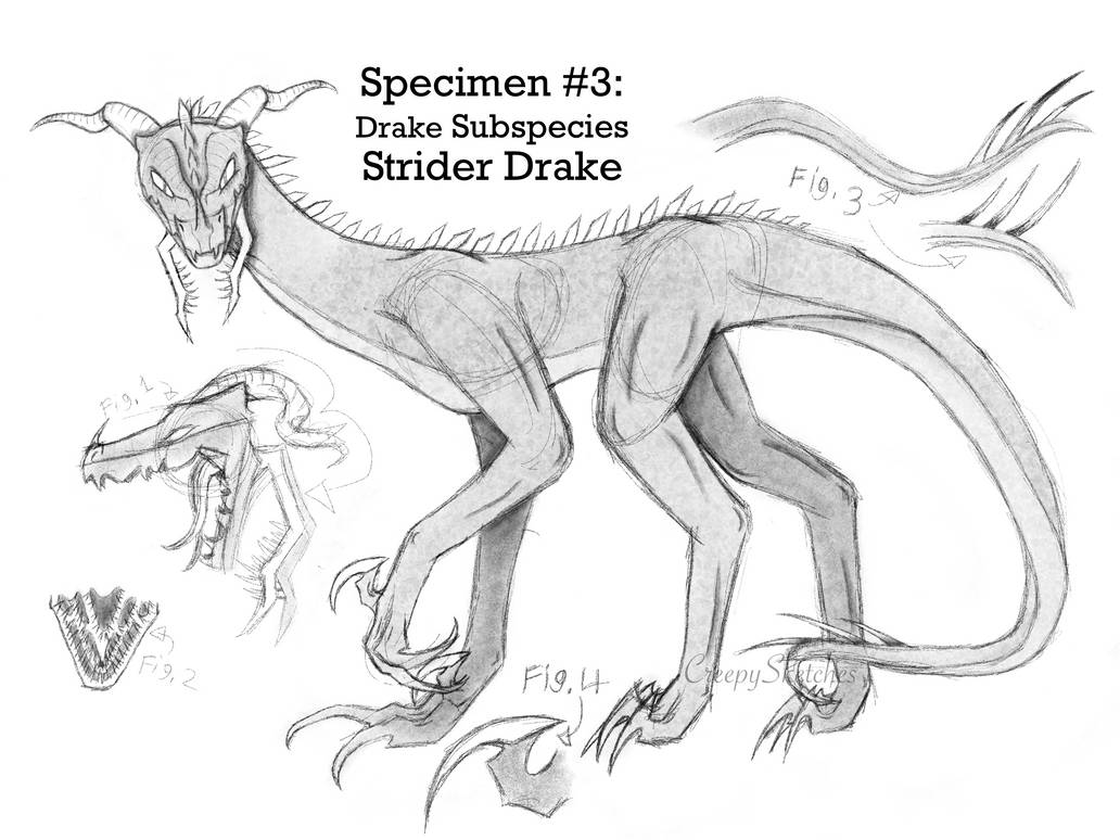 Spe#3- Drake Subspecies- Strider Drake by Creepysketches on DeviantArt