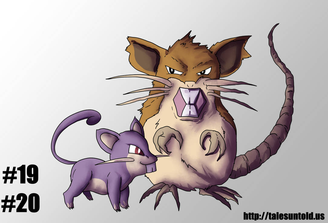 Rattata Family- Gotta Draw Em All #19,20 by Punished-Kom