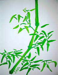 Bamboo