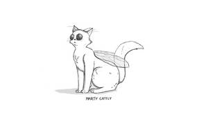 Marty Catfly