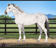 AmabilisWB Import | #356