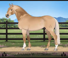 AmabilisWB Import | #369
