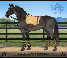 Creamy Retro | AmabilisWB Tack