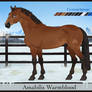 AmabilisWB Import | #590