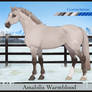 AmabilisWB Import | #588