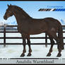AmabilisWB Import | #583