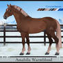AmabilisWB Import | #581