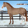 AmabilisWB Import | #572