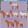 AmabilisWB Appaloosa Genetic Sheet